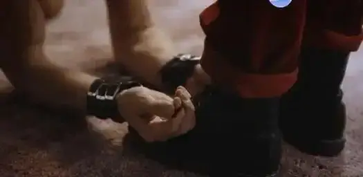 西檬之家-BDSM字母圈新人入圈指南：术语解析与安全准则