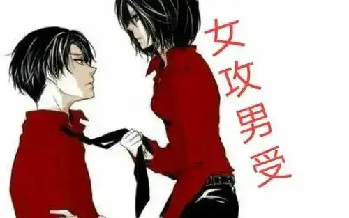 西檬之家-OTK是什么？字母圈新人入圈必看OTK指南