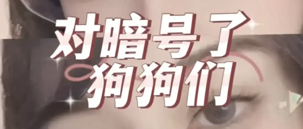 【西檬之家】k9是什么？字母圈中的狗奴文化与实践指南