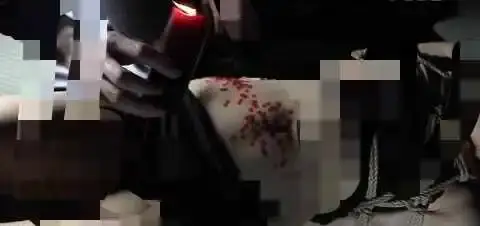 西檬之家-字母圈K8猫系新人指南