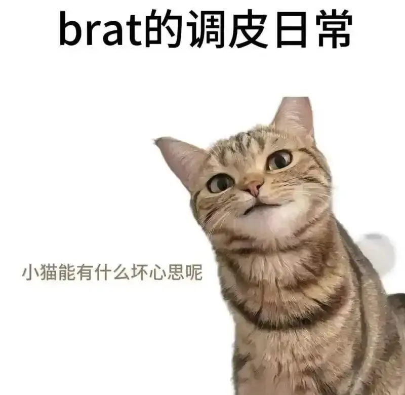 西檬之家-OTK是什么？字母圈新人指南