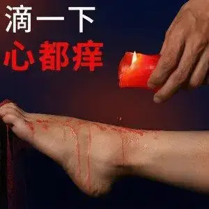 【西檬之家】—— 探索字母圈的OTK：从新手到进阶全面指南