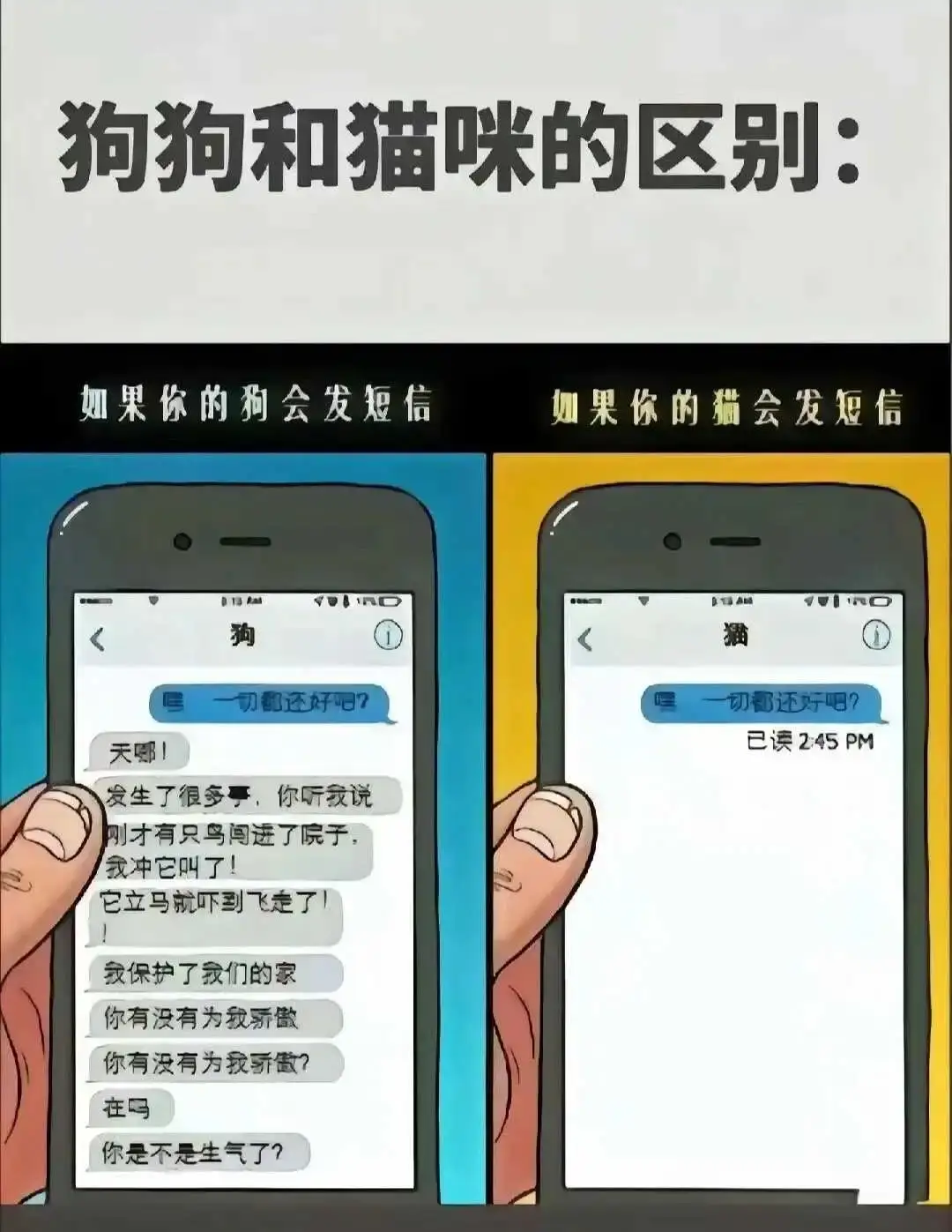 西檬之家-字母圈S属性解析: 新人入门指南