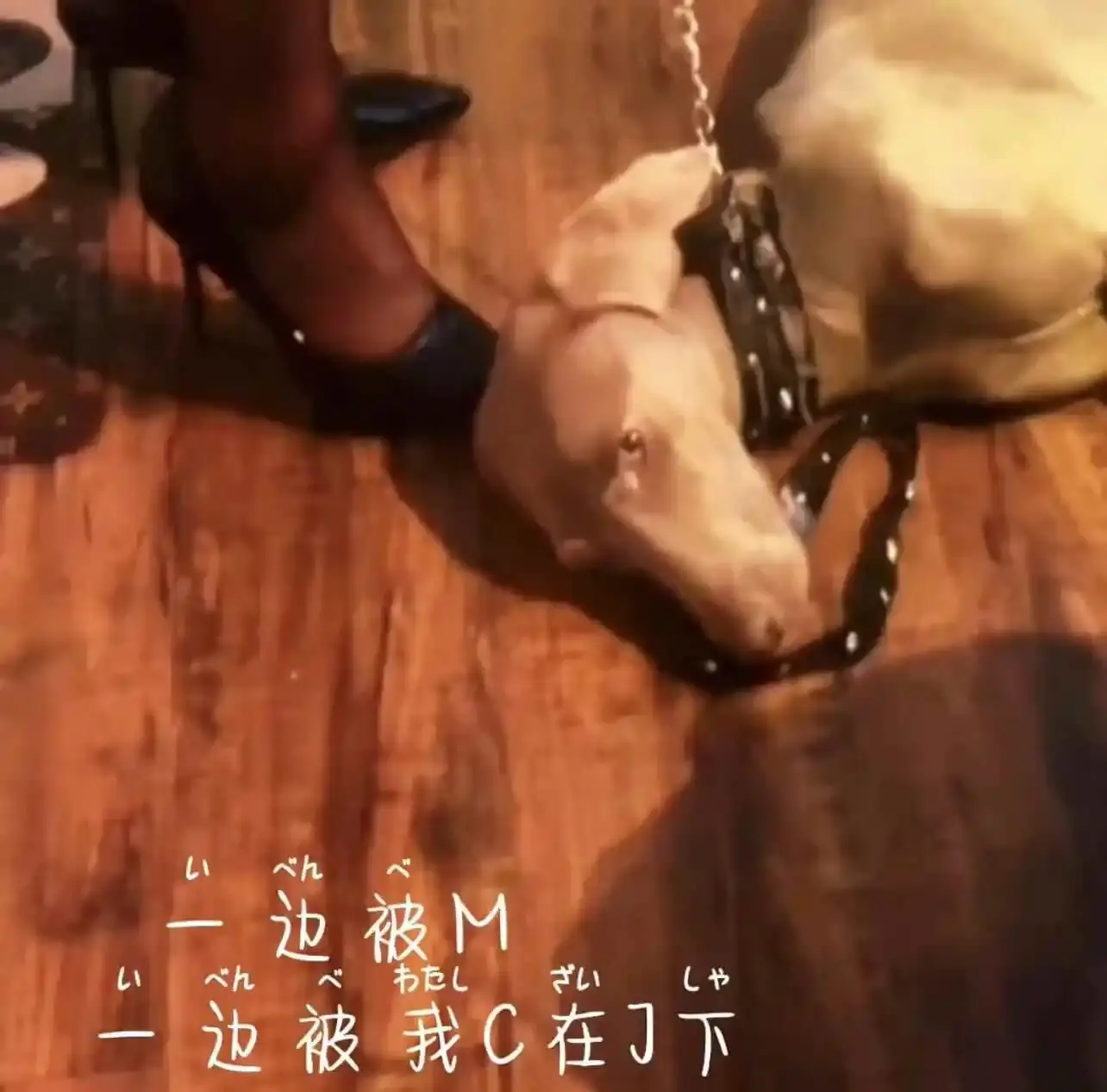 西檬之家-字母圈新人入圈指南：从BDSM基础术语到安全实践原则