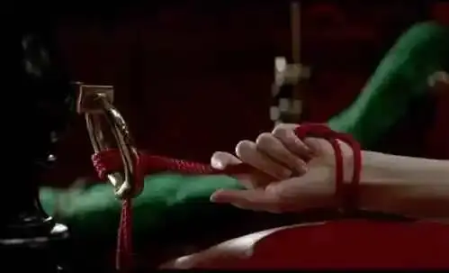 西檬之家-BDSM新人如何正确理解字母圈术语