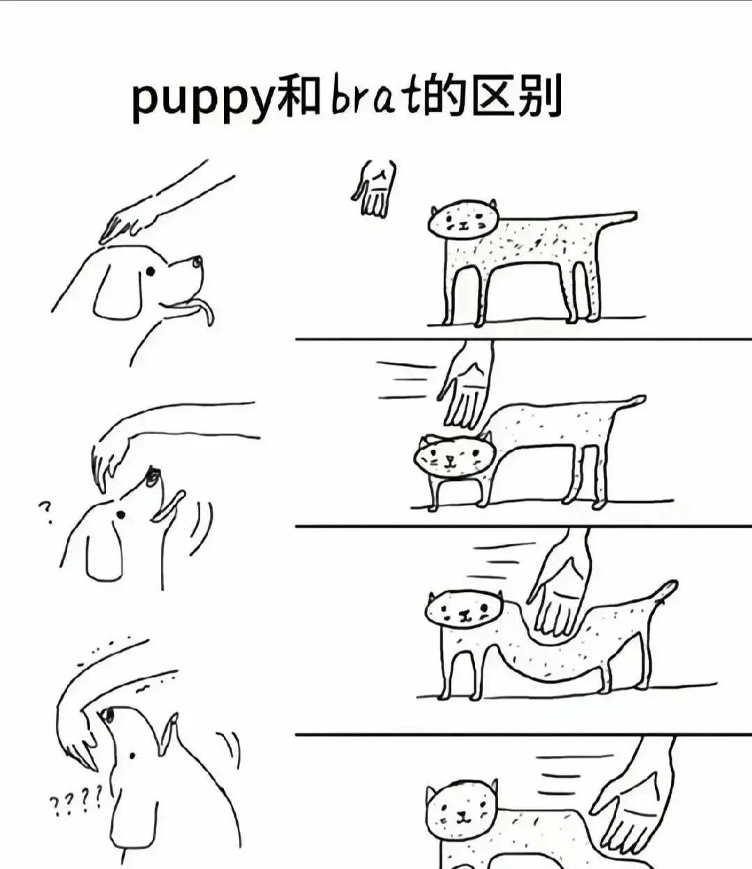 西檬之家-字母圈Sp实践指南